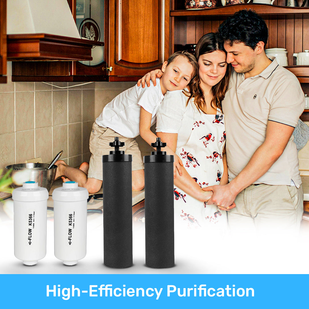 BB9-2 + PF-2 Replacement Filter Set – Fits Berkey Water Filter Systems (2-Pack)